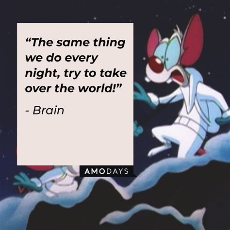 165 ‘Pinky and the Brain’ Quotes Loved by Fans Worldwide