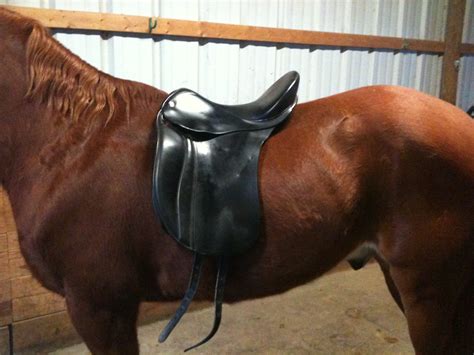 Wyvern Oaks: Dressage saddle fitting