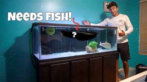 New 125 GALLON Fish Tank Is COMPLETE! - YouTube