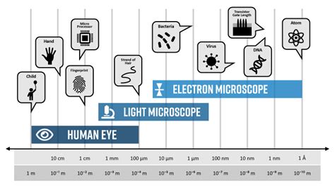 Understanding the Difference between Magnification and Resolution in Scanning Electron ...