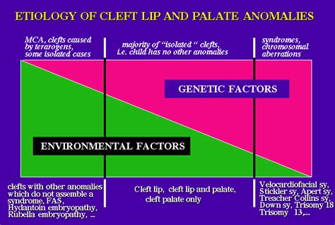 What Causes a Cleft Lip or Palate? - All Smiles Cleft