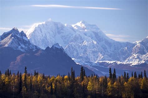 Denali National Park and Preserve: The Complete Guide