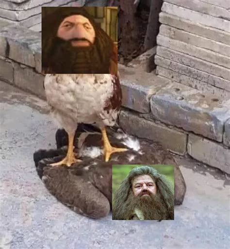 PS2 Hagrid > Movie Hagrid : r/dankmemes