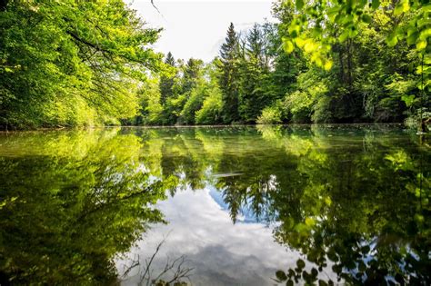 Restoring farmland ponds can help save our declining pollinators