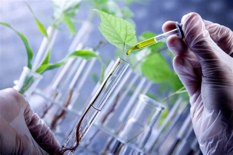 Expert urges caution in adopting agricultural biotechnology - EnviroNews