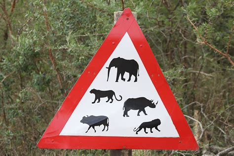 Road Signs - South Africa must have some of the most unusual road signs ...