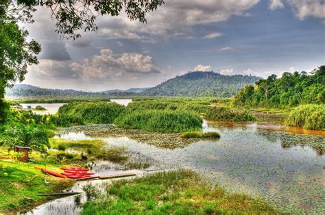 Chini Lake Malaysia - Images - XciteFun.net