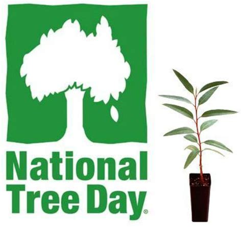 National Tree Planting Day 2024 - Fredia Susanne