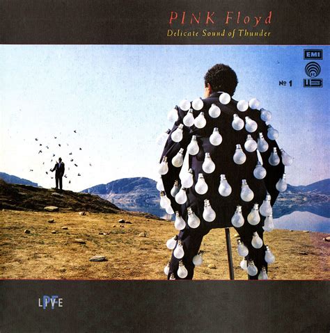 photos of pink floyd vinyl - Google Search Album Pink Floyd, Art Pink Floyd, Pink Floyd Album ...