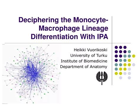 PPT - Deciphering the Monocyte-Macrophage Lineage Differentiation With ...