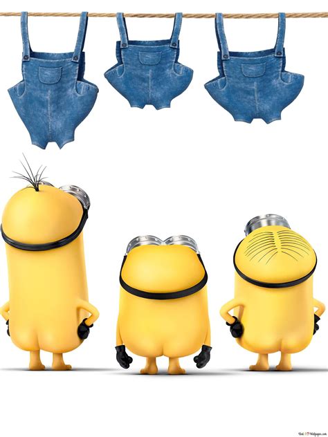 Minions - Kevin, Stuart and Bob 4K wallpaper download