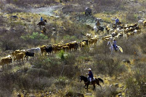 24 years later, Big Bend Ranch still a ranch for all Texans - Houston Chronicle