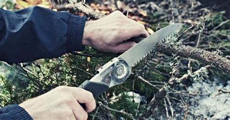 Best Folding Saws To Easily Pruning Or Clear Massive Brush