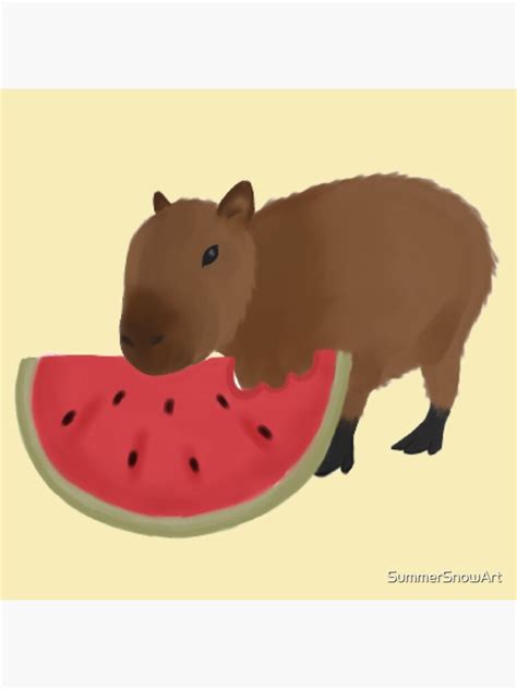 "Capybara eating watermelon" Poster for Sale by SummerSnowArt | Redbubble