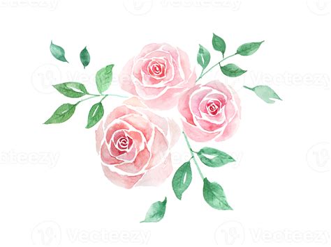 Pink Rose Bouquet Watercolor 21939085 PNG