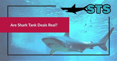 Are Shark Tank Deals Real? (2024)