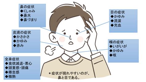 花粉症の症状と理由