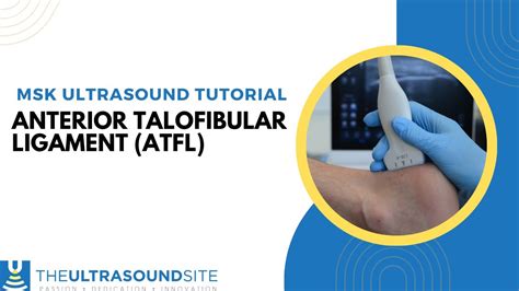 Musculoskeletal ultrasound tutorial - Anterior talofibular ligament ...