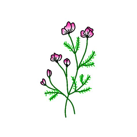 How to Draw Wildflowers - Step by Step Easy Drawing Guides - Drawing Howtos