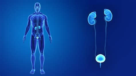 Case Study: Bladder Augmentation Surgery to Treat Neurogenic Bladder - BroadcastMed