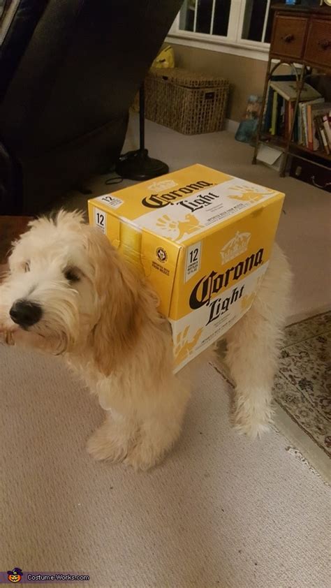 Dogs Carrying a Box of Corona Beer Costume - Photo 4/6