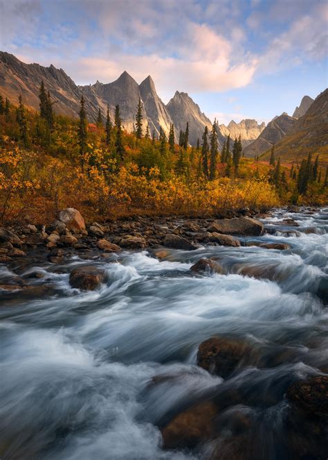 A perfect fall scene in the high arctic of Alaska. The rushing creek, beautiful fall color, and ...