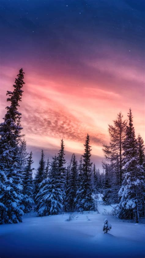 🔥 Free download Snowy Forest Sunset Scenery 4K Wallpaper iPhone HD ...