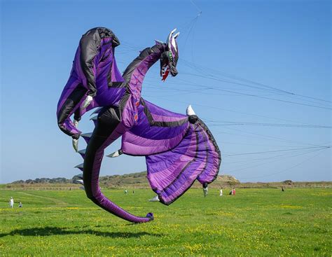 Related image | Dragon kite, Kite, Skeletor