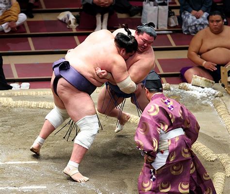 SUMO/ Terunofuji wins autumn grand tournament | The Asahi Shimbun: Breaking News, Japan News and ...