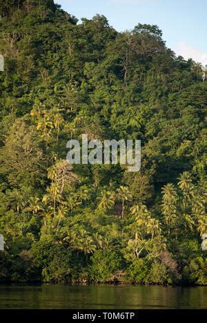 Gunung Api volcano, Banda Neira, Maluku, Indonesia Stock Photo - Alamy