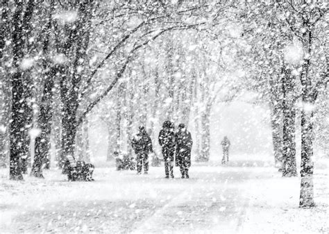 Biggest Snowfalls Recorded in New York History | Stacker