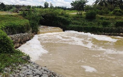 2 men nabbed over Sungai Batang Benar pollution | Free Malaysia Today (FMT)