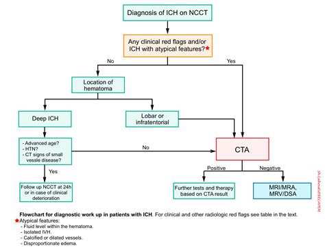 Intracerebral Hemorrhage Causes Symptoms Diagnosis Treatment Recovery