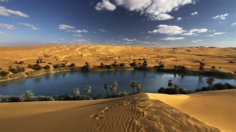 landscape, Desert, Oasis, Oases, Palm Trees Wallpapers HD / Desktop and ...