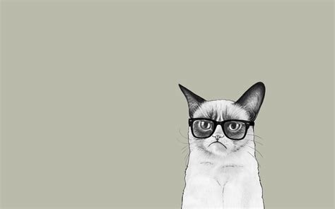 Minimalist wallpaper, Hipster cat, Art wallpaper