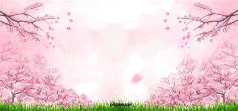 Pink Cherry Blossoms Wallpaper