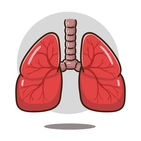 ilustración de órgano de pulmones de dibujos animados bueno para la ...