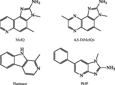 Chemical structures of the studied heterocyclic amines | Download Scientific Diagram