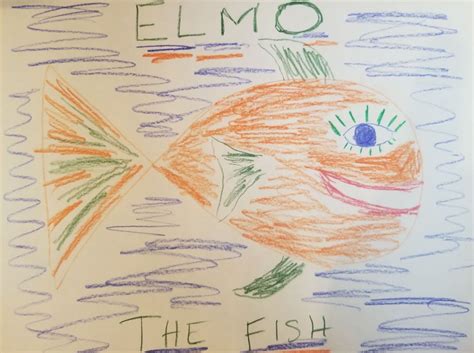 Elmo The Fish – Adirondack Outlaw