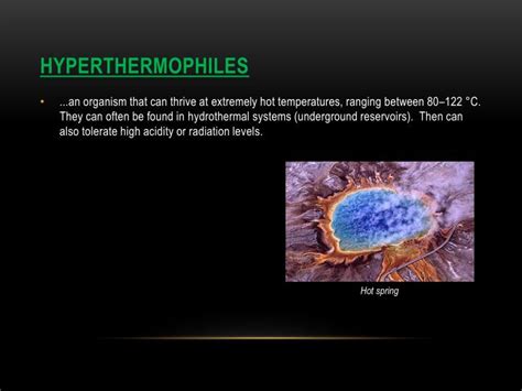 PPT - Extremophiles PowerPoint Presentation - ID:2372570