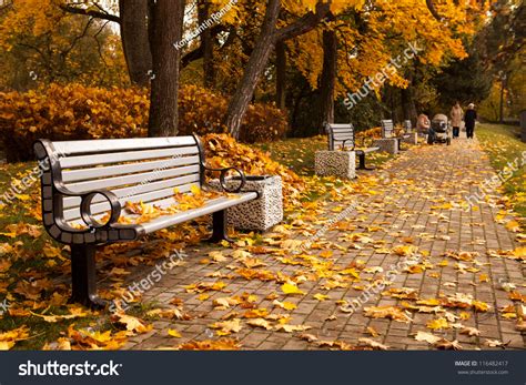 Perspective Row Benches Autumn Park While Stock Photo 116482417 ...