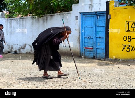 Old lady walking using stick at Mindiyada near Anjaar ; Kutch ; Gujarat ...