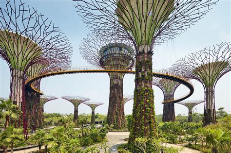 Gardens by the Bay - Singapore’s Futuristic Green Space – Go Guides