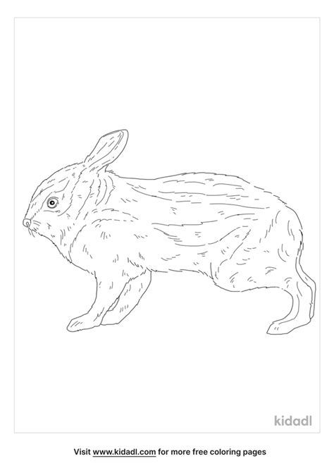 Annamite Striped Rabbit Coloring Page | Free Mammals Coloring Page | Kidadl