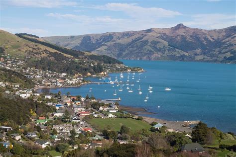 Akaroa Dolphins - Akaroa Harbour Nature Cruise: A Remarkable Experience ...