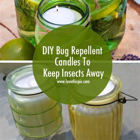 DIY Bug Repellent Candles To Keep Insects Away