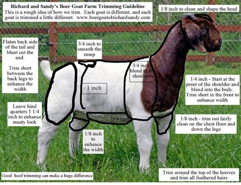 Goat Line Breeding Chart