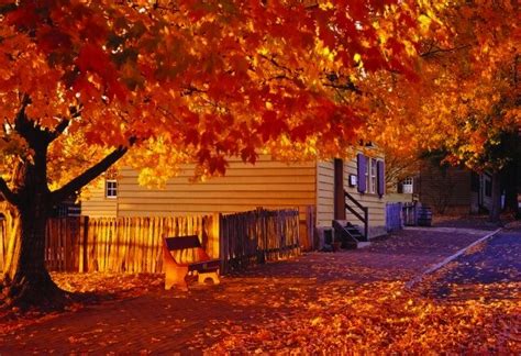 27 Best US Destinations To See Fall Foliage | Swift Wellness