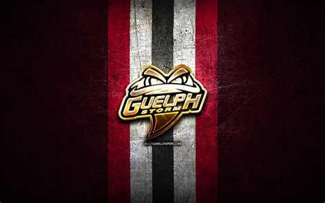 Download wallpapers Guelph Storm, golden logo, OHL, purple metal ...