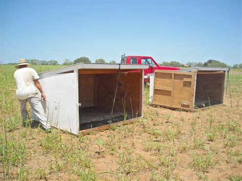 Goat Shelter Plans – What Must You Look Out For When Raising Goats | Shed Blueprints